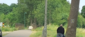 Podrzucanie śmieci nie popłaca - strażnicy miejscy szybko ukarali winnego
